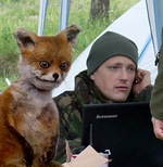 Аватара пользователя